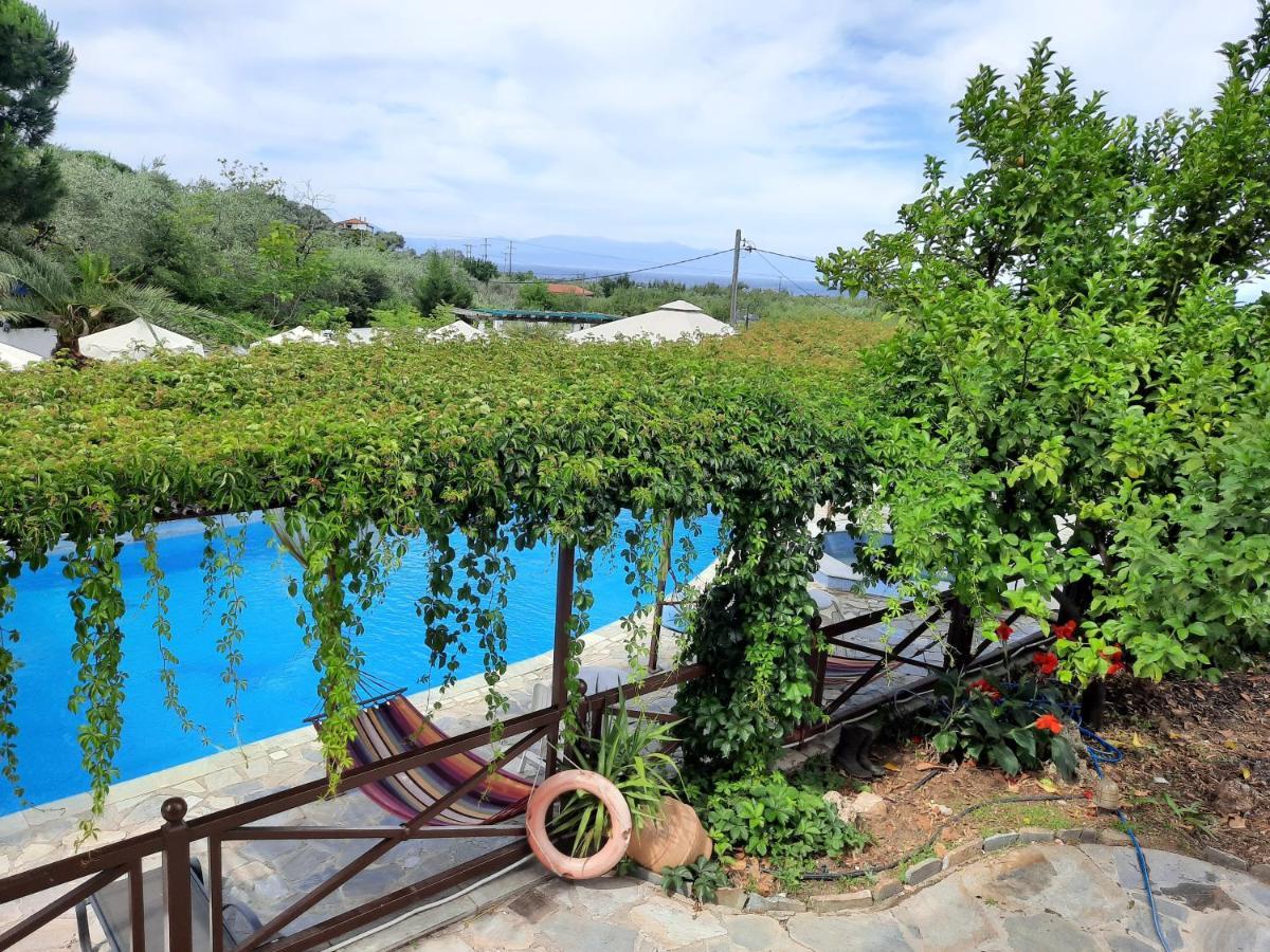 Seralis Pelion Áfissos Luaran gambar
